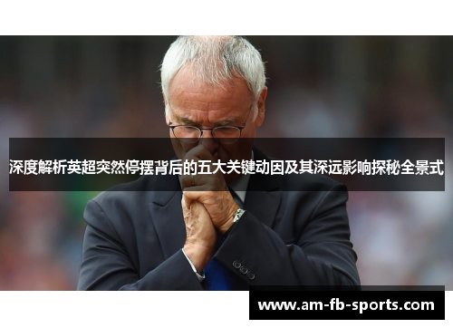 深度解析英超突然停摆背后的五大关键动因及其深远影响探秘全景式