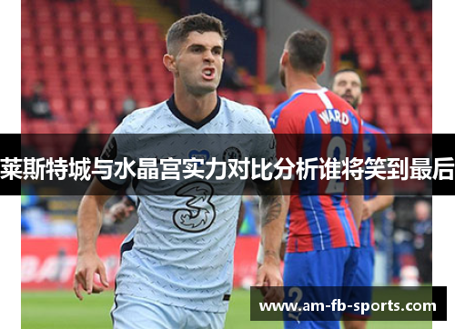 莱斯特城与水晶宫实力对比分析谁将笑到最后 莱斯特城与水晶宫实力对比分析谁将笑到最后