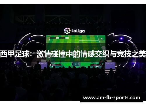 西甲足球：激情碰撞中的情感交织与竞技之美