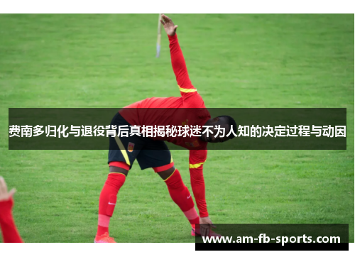 费南多归化与退役背后真相揭秘球迷不为人知的决定过程与动因